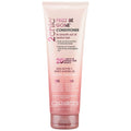 2Chic Frizz Be Gone Conditioner