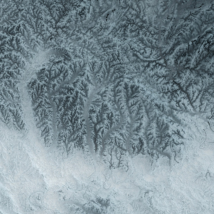 Alabama Topographic 3D Relief Map