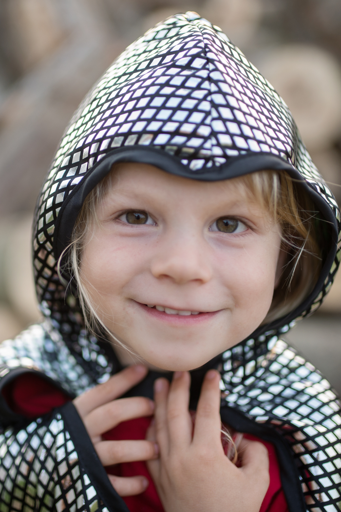 Dragon Knight Reversible Cape