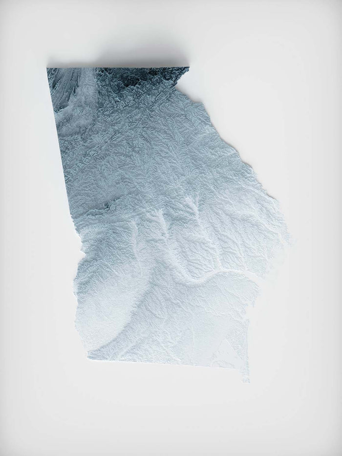 Georgia Topographic 3D Relief Map