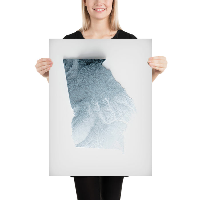 Georgia Topographic 3D Relief Map