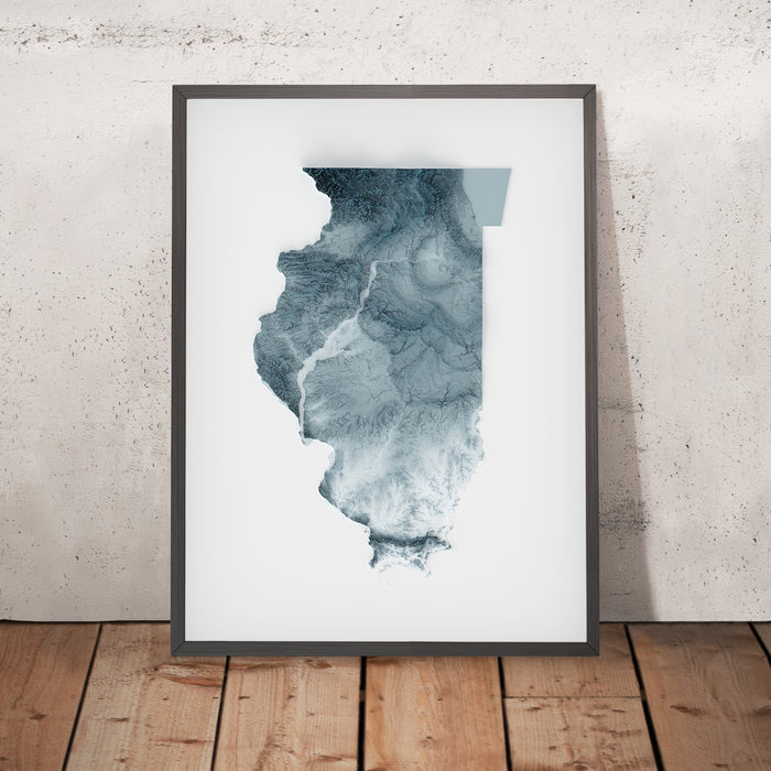 A framed image of a 3D style topographic relief map ofIllinois