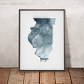 A framed image of a 3D style topographic relief map ofIllinois