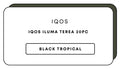 IQOS ILUMA Terea 20pc | Black Tropical-Image 1