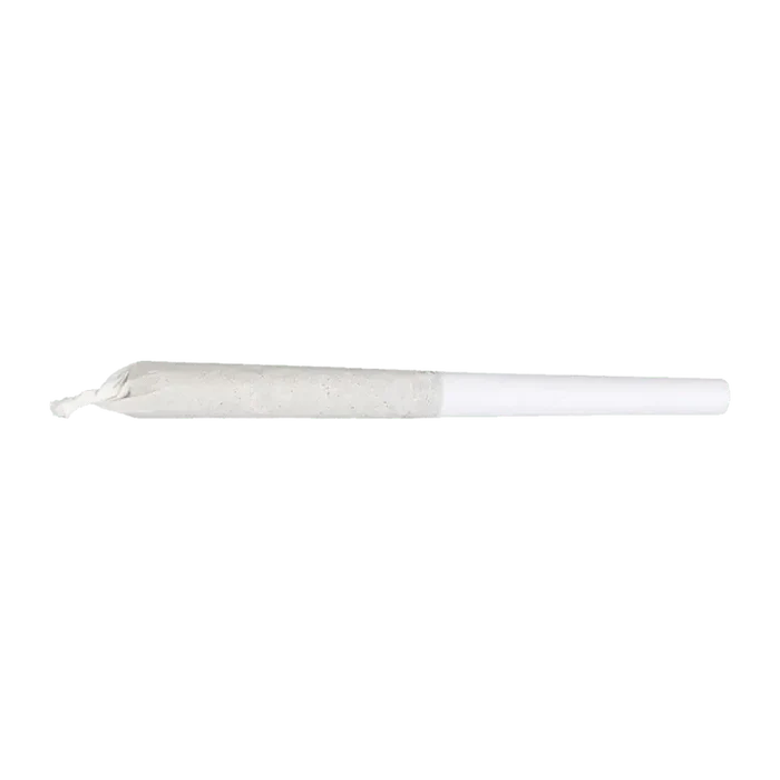 A close-up view of the Jean Guy Pre Rolled 7 x 0.5 g, showing the tightly rolled paper and visible product inside.