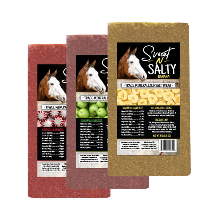 Kalmbach Feeds Sweet-N-Salty Horse Brick - Pittsboro Feed