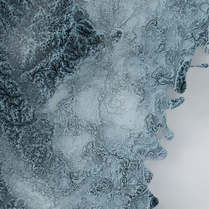 Louisiana Topographic 3D Relief Map