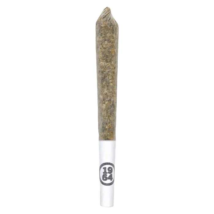 A close-up, angled view of the Organic Blue Dream Pre Rolled 5 x 0.5 g pre-roll joint against a clean white backdrop.