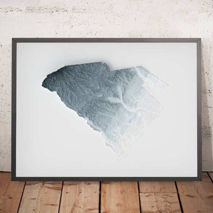 A framed image of a 3D style topographic relief map ofSouth Carolina