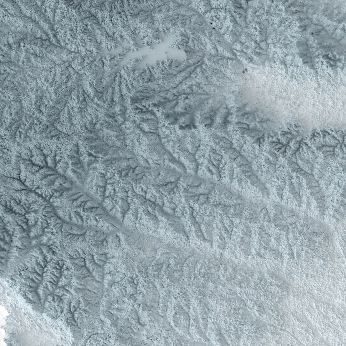 South Carolina Topographic 3D Relief Map