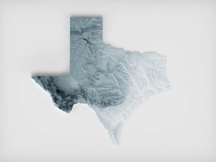 Texas Topographic 3D Relief Map